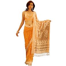 Burnt Orange Butti Lucknowi Netted Saree