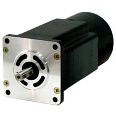 Square Brake Stepping Motor