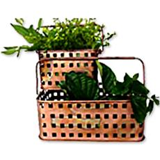 Basket Planter