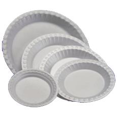 Expanded Polystyrene [Eps] Dishes