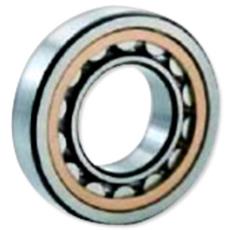 Cylindrical Roller Bearing