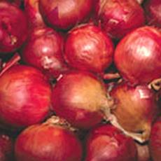 Various Types Of Onions