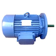 Reluctance Synchronous Motor