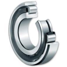 Single Row Cylindrical Roller Bearings With Cage