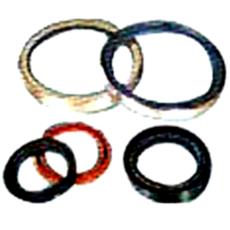 Rubber Coated Hydraulic Oil Seal