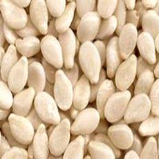 Lower Semi Premium Hulled Sesame Seeds With 58% Oil