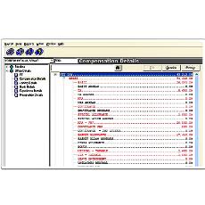 Automated Payroll Software With Batch Processing Facility