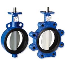 Resilient Replaceable Seat Butterfly Valve