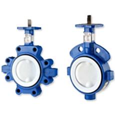 Ptfe Seated Butterfly Valve