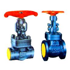 Forged Carbon Steel Valve