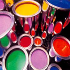 Polymer Emulsion - Vam/Versatate For Paints And Coatings