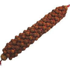 Rudraksha Roller To Stimulate Accupoints