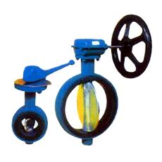 Concentric Butterfly Valves With Moulded Elastomer Body Liner