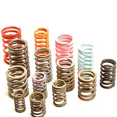 Valve Springs For Engine