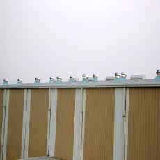 Stainless Steel Air Ventilator