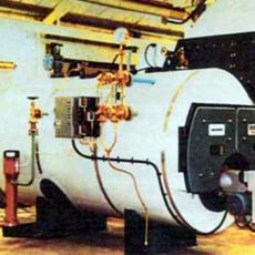 Steam & Water Oil Fired Boiler