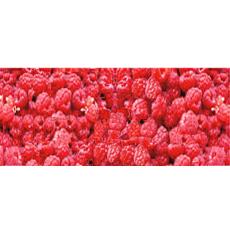 Raspberry Aroma Incense Sticks