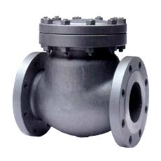 Swing Check Valve With Anti-Rotation Disc