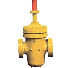 Conduit Type Gate Valve