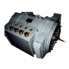 Dual Speed Motors Of Range Upto 100 Kw