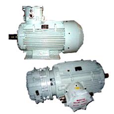 Flp Motor Of Range 0.25 Kw To 50.00 Kw