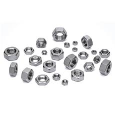 Stainless Steel Nuts