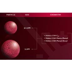 High Performance Liquid Chromatography [Hplc] Columns