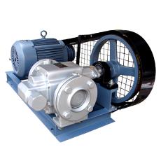 Stainless Steel Gear Pump