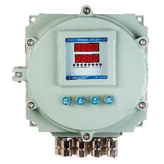 Weatherproof/ Flameproof Single Gas Alert Monitor