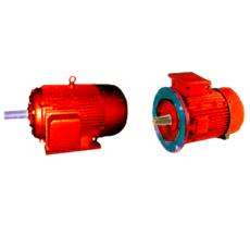 Three Phase Induction Electric Motors