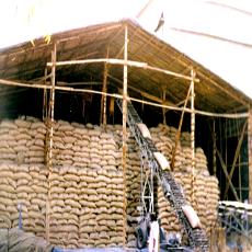 Water Resistant Rain Shed