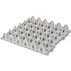 Plastic Egg Setting Tray