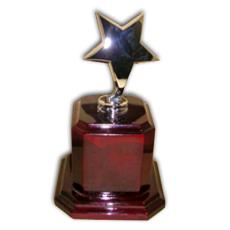 Metal Trophy With Wooden Base