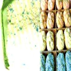 Pigment Dispersion For Detergent And Soap