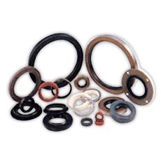 Oil Seal