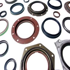 Oil Seals & O- Rings