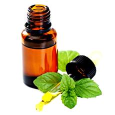 Mentha Arvensis Oil