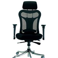 Executive Chair With Back Support