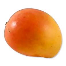 Mango Fruit With Vitamin A And C