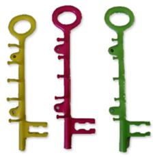 Designer Iron Key Hooks