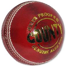 Leather Made Cricket Ball