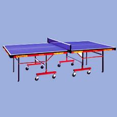 Tournament Table Tennis Table