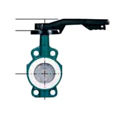 Ptfe Lined Butterfly Valves