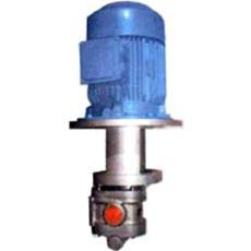 Vertical Flange Mounted Pumps With Motor