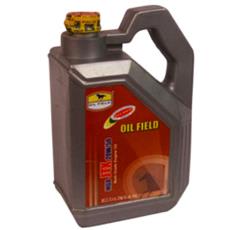 Automotive Gas Engine Oil