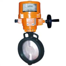 Centric Disc Butterfly Valve