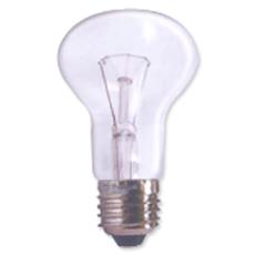 Low Volt Incandescent Bulb