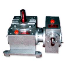 Double Worm Reduction Gear Box