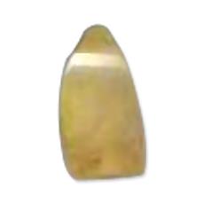 Yellow Colour Raisin Bead