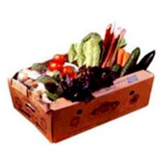 Lightweight Vegetable Packing Boxes